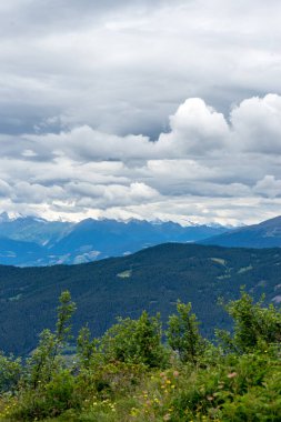 İtalya, Alpe di Siusi, Seiser Alm Sassolungo Langkofel Dolomite ile birlikte arka planda dağ olan bir ağaç.