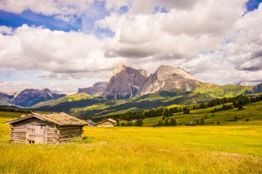 İtalya, Alpe di Siusi, Seiser Alm Sassolungo Langkofel Dolomite ile, tarlada eski bir ahır.