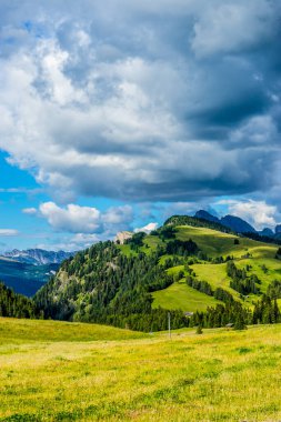 İtalya, Alpe di Siusi, Seiser Alm Sassolungo Langkofel Dolomite ile birlikte, yemyeşil bir yamaçta.