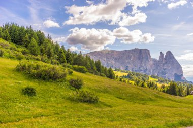 İtalya, Alpe di Siusi, Seiser Alm Sassolungo Langkofel Dolomite ile birlikte, arkasında dağ olan büyük yeşil bir tarla.