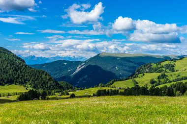 İtalya, Alpe di Siusi, Seiser Alm Sassolungo Langkofel Dolomite ile birlikte, arkasında dağ olan büyük yeşil bir tarla.