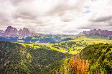 İtalya, Alpe di Siusi, Seiser Alm ve Sassolungo Langkofel Dolomite, bir dağ manzarası.
