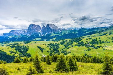 Alpe di Siusi, Seiser Alm Sassolungo Langkofel Dolomite ile birlikte Seiser Alm Puflatsch Bullaccia 'da yemyeşil alan.