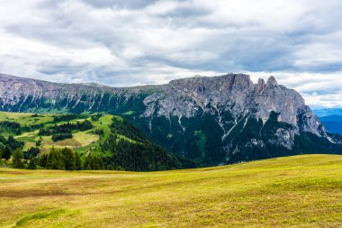 İtalya, Alpe di Siusi, Seiser Alm Sassolungo Langkofel Dolomite ile birlikte, arkasında dağ olan büyük yeşil bir tarla.