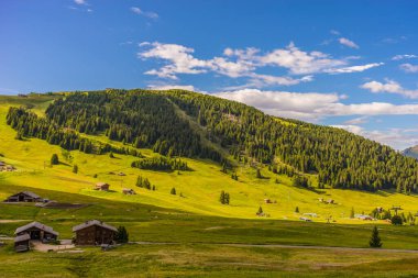 Alpe di Siusi, Seiser Alm ve Sassolungo Langkofel Dolomite, vadi kanyonundaki yemyeşil bir arazinin yakınlarındaydılar.