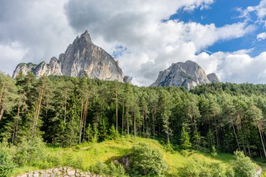 İtalya, Alpe di Siusi, Seiser Alm Sassolungo Langkofel Dolomite ile birlikte arka planda dağ olan bir ağaç.