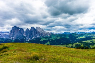 İtalya, Alpe di Siusi, Seiser Alm Sassolungo Langkofel Dolomite ile birlikte, arkasında dağ olan büyük yeşil bir tarla.