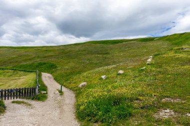 Alpe di Siusi, Seiser Alm Sassolungo Langkofel Dolomite ile birlikte, bir yürüyüş yolu yemyeşil bir tarlada bölündü.