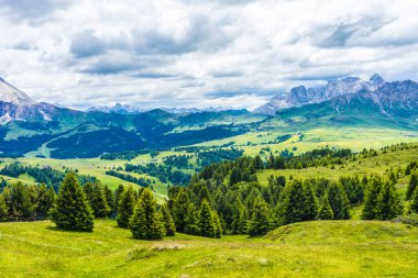 İtalya, Alpe di Siusi, Seiser Alm Sassolungo Langkofel Dolomite ile birlikte, arkasında dağ olan büyük yeşil bir tarla.