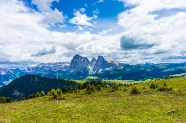 İtalya, Alpe di Siusi, Seiser Alm Sassolungo Langkofel Dolomite ile birlikte, arkasında dağ olan büyük yeşil bir tarla.