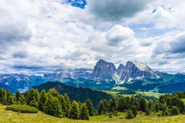 İtalya, Alpe di Siusi, Seiser Alm Sassolungo Langkofel Dolomite ile birlikte, arkasında dağ olan büyük yeşil bir tarla.