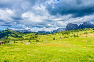 İtalya, Alpe di Siusi, Seiser Alm Sassolungo Langkofel Dolomite ile birlikte, arkasında dağ olan büyük yeşil bir tarla.