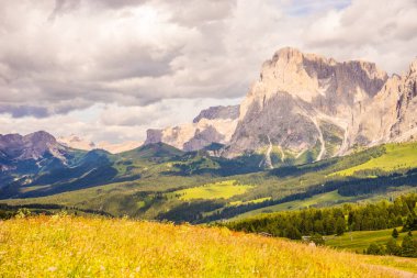 İtalya, Alpe di Siusi, Seiser Alm ve Sassolungo Langkofel Dolomite arka planda dağ olan bir tarla.