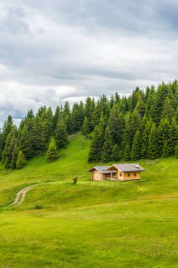 Alpe di Siusi, Seiser Sadm ve Sassolungo Langkofel Dolomite, eşcinsel evi olan yemyeşil bir arazinin yakın çekimi.