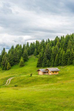 Alpe di Siusi, Seiser Alm with Sassolungo Langkofel Dolomite, a close up of a lush green field with queer house clipart