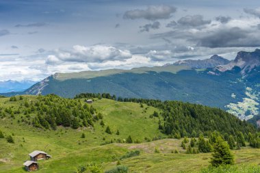İtalya, Alpe di Siusi, Seiser Alm Sassolungo Langkofel Dolomite ile birlikte, arkasında dağ olan büyük yeşil bir tarla.
