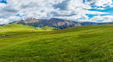 İtalya, Alpe di Siusi, Seiser Alm Sassolungo Langkofel Dolomite ile birlikte, arkasında dağ olan büyük yeşil bir tarla.