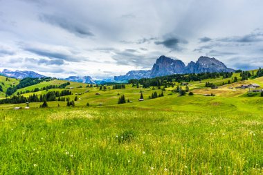 İtalya, Alpe di Siusi, Seiser Alm Sassolungo Langkofel Dolomite ile birlikte, arkasında dağ olan büyük yeşil bir tarla.
