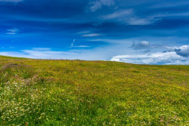 İtalya, Alpe di Siusi, Seiser Alm ve Sassolungo Langkofel Dolomite, gökyüzünde bulutlar olan büyük yeşil bir alan.