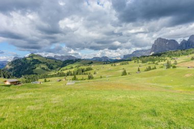 İtalya, Alpe di Siusi, Seiser Alm Sassolungo Langkofel Dolomite ile birlikte, arkasında dağ olan büyük yeşil bir tarla.