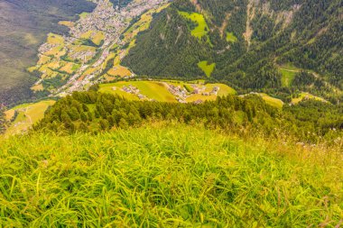 İtalya, Alpe di Siusi, Seiser Alm ve Sassolungo Langkofel Dolomite arka planda dağ olan bir tarla.