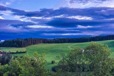Alpe di Siusi, Seiser Alm ve Sassolungo Langkofel Dolomite. Arkasında ağaçlar olan büyük yeşil bir alan.