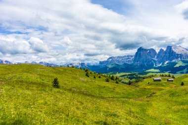 İtalya, Alpe di Siusi, Seiser Alm Sassolungo Langkofel Dolomite ile birlikte, arkasında dağ olan büyük yeşil bir tarla.