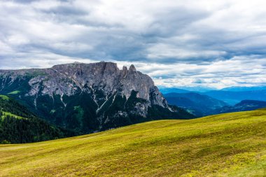 İtalya, Alpe di Siusi, Seiser Alm ve Sassolungo Langkofel Dolomite arka planda dağ olan bir tarla.