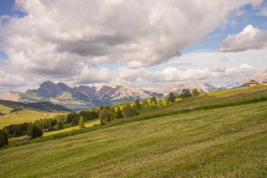 İtalya, Alpe di Siusi, Seiser Alm ve Sassolungo Langkofel Dolomite arka planda dağ olan bir tarla.