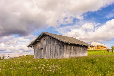 İtalya, Alpe di Siusi, Seiser Alm Sassolungo Langkofel Dolomite ile, tarlada eski bir ahır.
