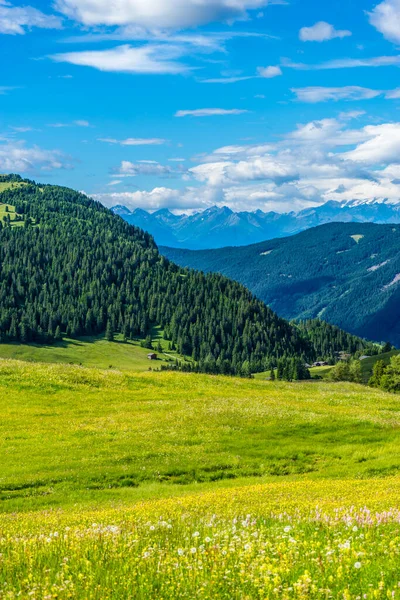 Italia Alpe Siusi Seiser Alm Con Sassolungo Langkofel Dolomite Gran — Foto de Stock