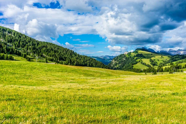 İtalya, Alpe di Siusi, Seiser Alm Sassolungo Langkofel Dolomite ile birlikte, arkasında dağ olan büyük yeşil bir tarla.