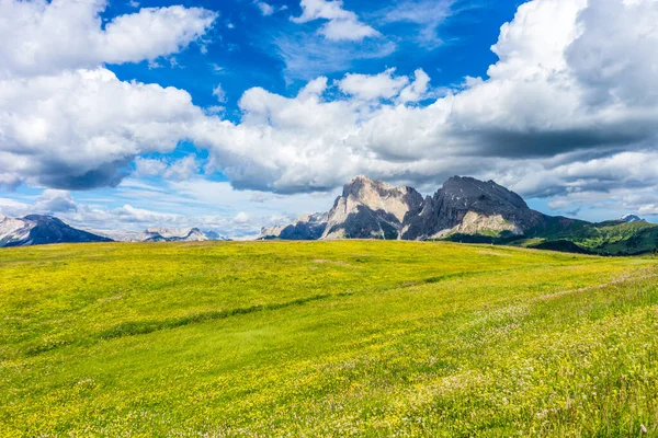 Italy Alpe Siusi Seiser Alm Sassolungo Langkofel Dolomite Велике Зелене — стокове фото