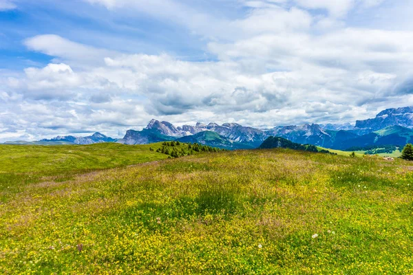 Włochy Alpe Siusi Seiser Alm Sassolungo Langkofel Dolomite Duże Zielone — Zdjęcie stockowe