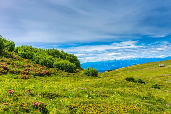 Italia Alpe Siusi Seiser Alm Con Sassolungo Langkofel Dolomite Primer — Foto de Stock