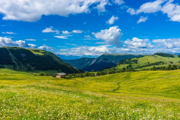 Włochy Alpe Siusi Seiser Alm Sassolungo Langkofel Dolomite Duże Zielone — Zdjęcie stockowe