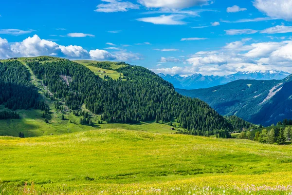 Włochy Alpe Siusi Seiser Alm Sassolungo Langkofel Dolomite Duże Zielone — Zdjęcie stockowe