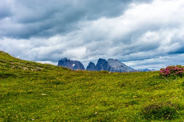 Włochy Alpe Siusi Seiser Alm Sassolungo Langkofel Dolomite Duże Zielone — Zdjęcie stockowe