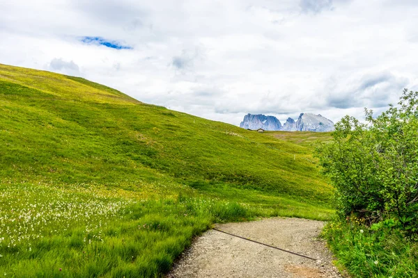 Alpe Siusi Seiser Alm Con Sassolungo Langkofel Dolomite Sendero Sinuoso — Foto de Stock