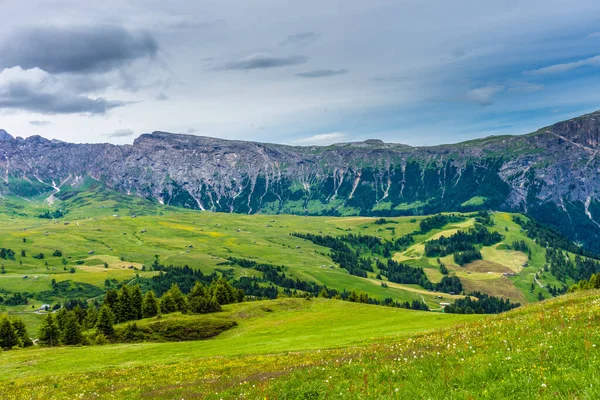 イタリア アルプ シウシ サッソルンゴ ランコフェル ドロマイトとセイザー アルム 背景に山と大きな緑のフィールド — ストック写真