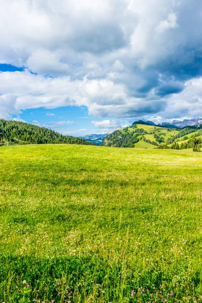 Италия Alpe Siusi Alm Фазоло Лангко Дамите Большое Зеленое Поле — стоковое фото