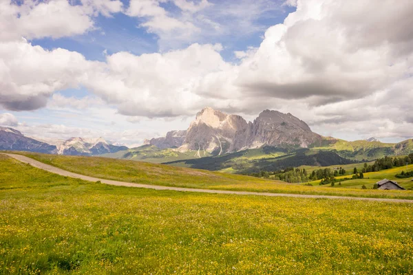 意大利 Siusi阿尔卑斯 Sassolungo Langkofel Dolomite的Seiser Alm 一片绿地 背景是一座山 — 图库照片