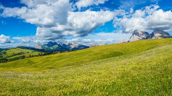 Italia Alpe Siusi Seiser Alm Con Sassolungo Langkofel Dolomite Gran — Foto de Stock