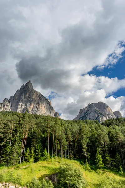 İtalya, Alpe di Siusi, Seiser Alm Sassolungo Langkofel Dolomite ile birlikte arka planda dağ olan bir ağaç.