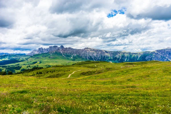 Italia Alpe Siusi Seiser Alm Con Sassolungo Langkofel Dolomite Gran —  Fotos de Stock