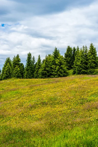 Италия Alpe Siusi Seiser Alm Sassolungo Langkofel Dolomite Person Standing — стоковое фото