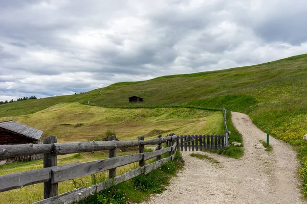 Alpe Siusi Seiser Alm Con Sassolungo Langkofel Dolomite Sendero Sinuoso — Foto de Stock