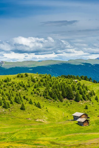 Alpe Siusi Seiser Alm Sassolungo Langkofel Dolomite Bujne Zielone Pole — Zdjęcie stockowe