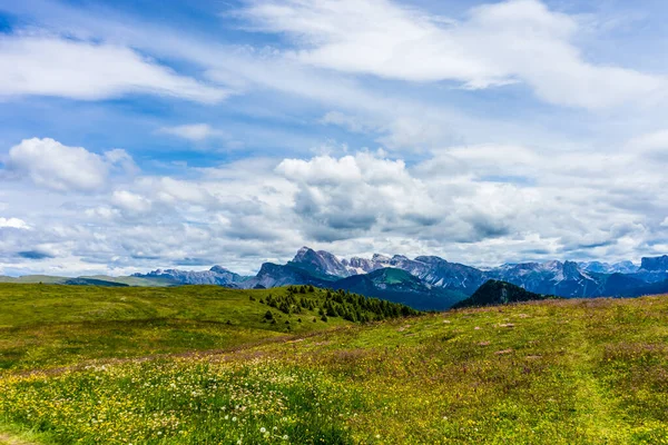 Italy Alpe Siusi Seiser Alm Sassolungo Langkofel Dolomite Велике Зелене — стокове фото