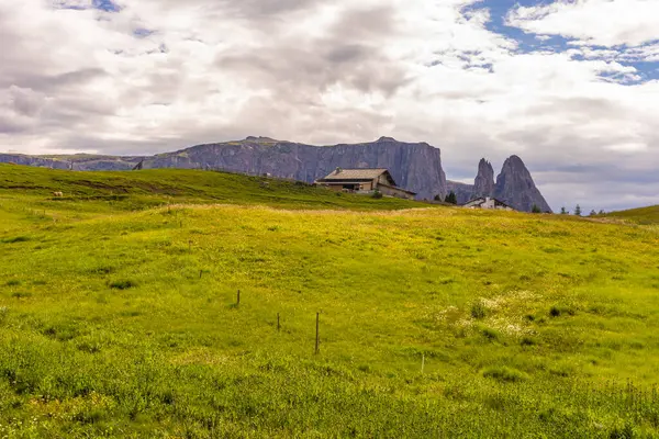 Alpe Siusi Seiser Alm Sasolungo Langkofel Dolomite 渓谷のパノラマの緑豊かなフィールドの終わり — ストック写真